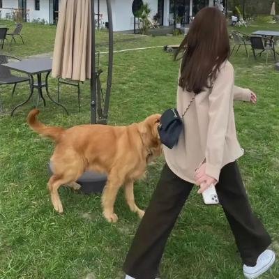 疯狂的旅行箱